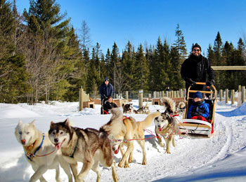 Randonnée en traîneau à chiens