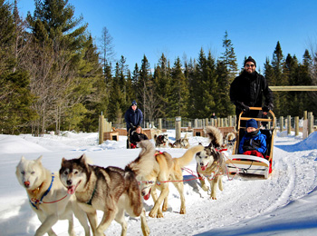 Deux groupes de chiens de traîneau avec des conducteurs et des passagers.
