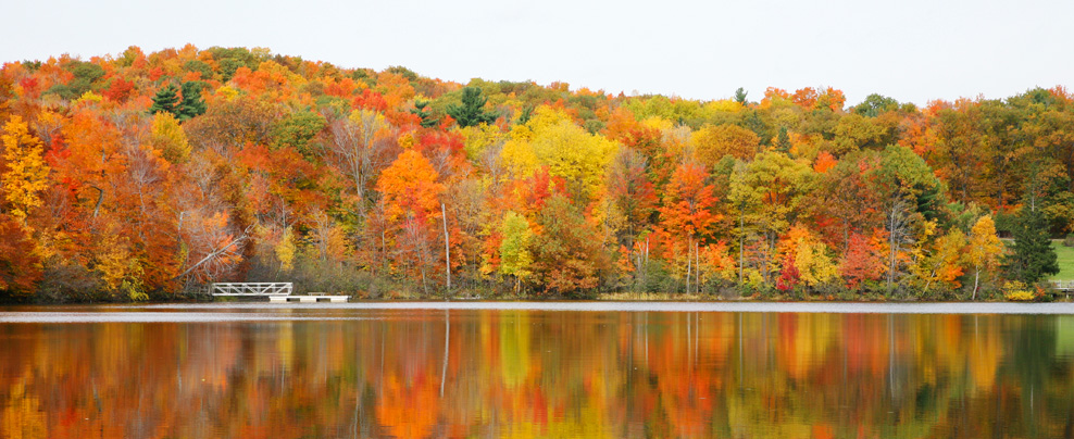 Activités d’automne au Québec