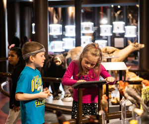 Musée de la nature et des sciences de Sherbrooke