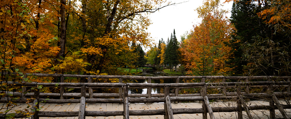 Quoi faire en road trip au Québec