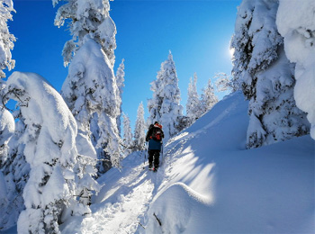 Skieur explorant l’arrière-pays