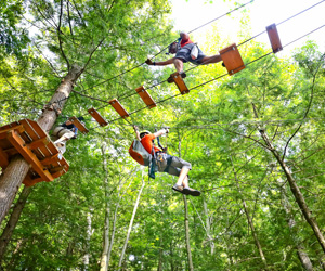 Parcours dans les arbres