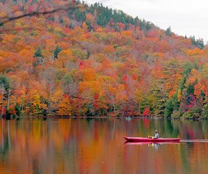 Centre de Villégiature Lac
              Fiddler