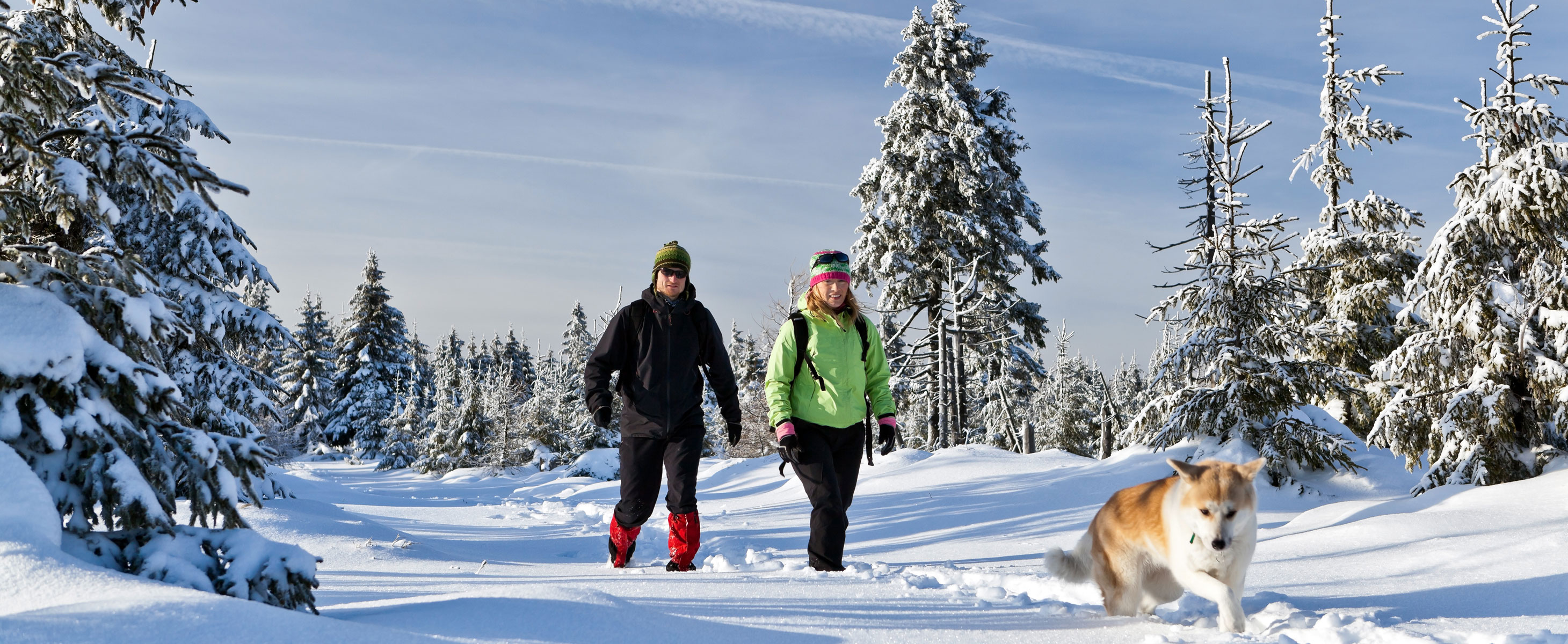 Activités d’hiver classiques au Québec