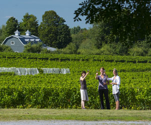 Visitez les vignobles du Québec