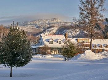 Maison de campagne et hôtel dans un lieu boisé avec la montagne en arrière.