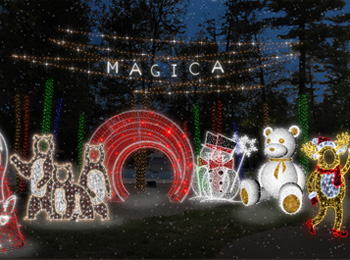 Féerie au Parc Safari, crédit photo: Leblanc Illuminations Canada pour Parc Safari