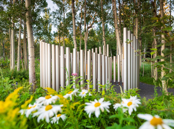 Festival international de jardins