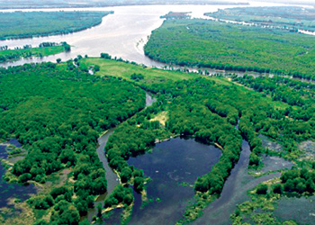 Lac Saint-Pierre