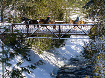 Promenade romantique à cheval au Baluchon Éco-villégiature