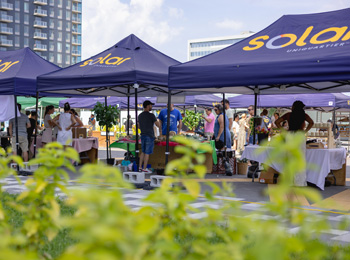 Le Marché public de Solar Uniquartier