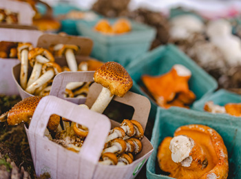 Champignons