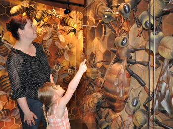 Mère et fille devant l'exposé d'abeilles.
