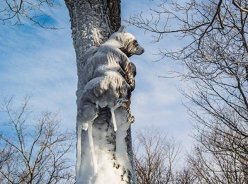 Sculpture d'ourson au Mont SUTTON par Daniel Haché