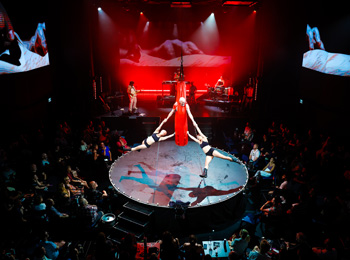 Acrobates sur la scène lors du spectacle BARBU.