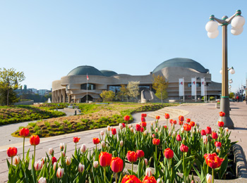 Musée canadien de l'histoire