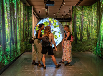 Trois jeunes femmes à l'exposition Voix autochtones du Musée McCord Stewart.