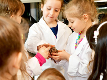 Groupe de jeunes enfants en sarrau en train d'observer une grenouille.