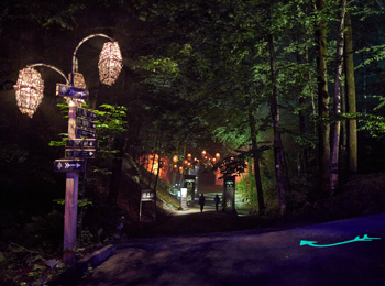 Foresta Lumina
