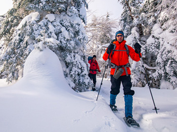 Parc régional Montagne du Diable Crédit photo: Nicolas Aubry
