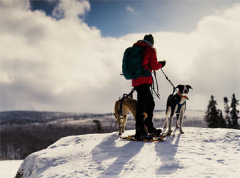 Randonneur et deux chiens en haut d'une montagne.