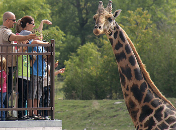 Parc Safari