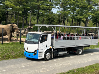 camions de brousse électriques