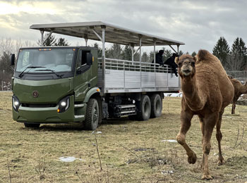  Parc Safari