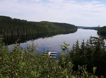 Réserve faunique des Lacs-Albanel-Mistassini-et-Waconichi