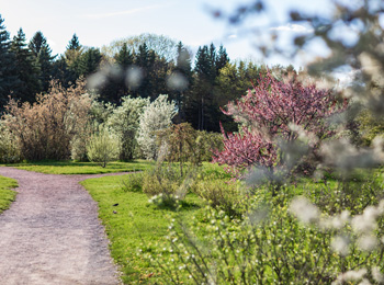 Jardins en fleurs.