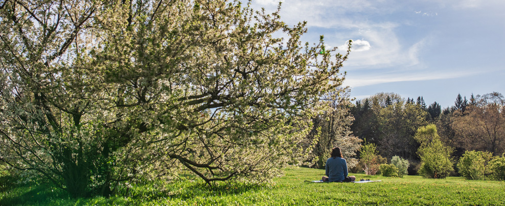 Arbre en fleurs et une jeune femme qui médite sur l’herbe.