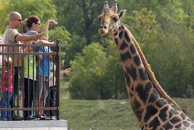 Animaux, parc aquatique et Pavillon Découvertes au Parc Safari!