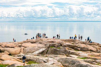 Découvrez une mer d’activités pour vos vacances en Côte-Nord cet été!