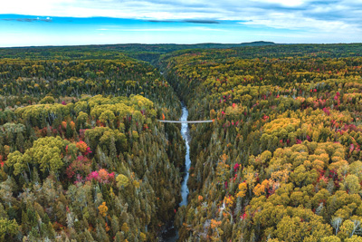 Délices forestiers, plein air et séjour haut perché vous attendent au Bas-Saint-Laurent