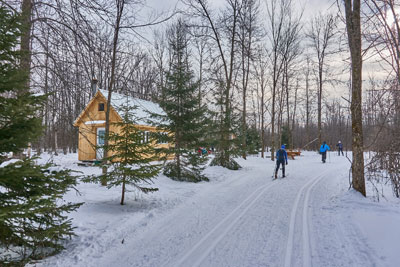 En skis de fond pour apprécier la blanche saison