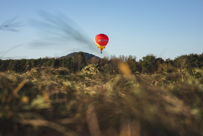 Le Haut-Richelieu en automne : festivités, montgolfières et délices gourmands