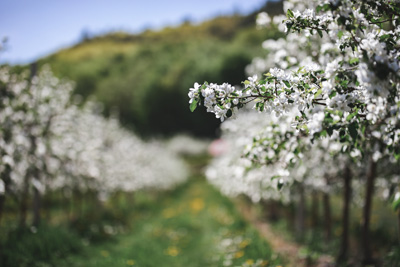 Plein air et activités gourmandes animent le printemps dans le Haut-Richelieu
