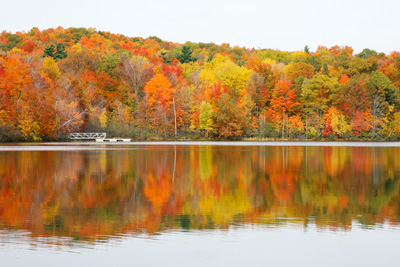 Découvrez comment profiter des plaisirs d’automne!