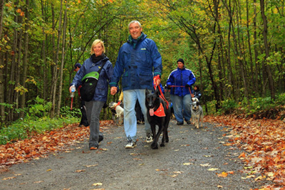 Splendeur automnale dans les parcs québécois