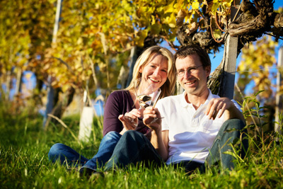 Sur la route des vignobles