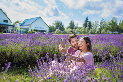 Visitez Bleu Lavande, une des plus importantes lavanderaies au Canada!