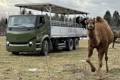 Vivez un séjour passionnant au Parc Safari