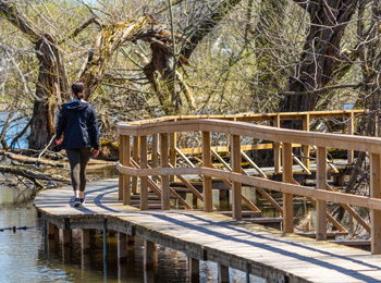 Jeune femme qui marche sur une passerelle au-dessus de l'eau dans le bois.
