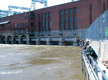 Plusieurs pêcheurs en rang qui pêchent du haut d'un barrage.