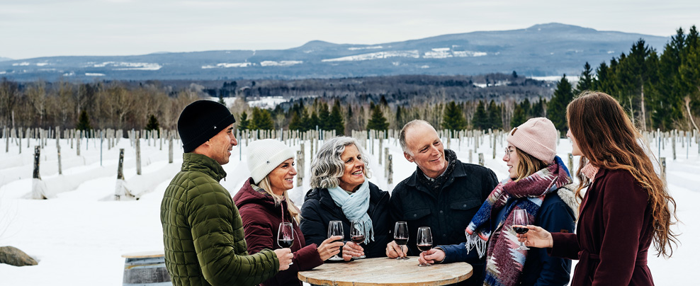 Groupe de 6 personnes heureuses avec des verres de vin à l’extérieur dans un vignoble l’hiver.