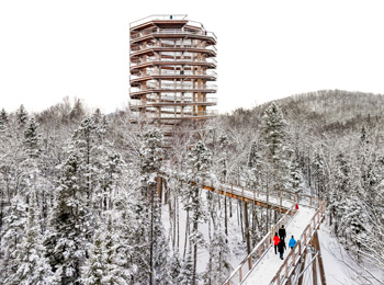 Paysage d'hiver au Sentier des cimes Laurentides