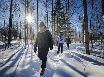 3 femmes qui marchent dans un sentier en forêt l'hiver.