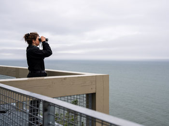 Femme qui observe les bélugas au Bas-St-Laurent