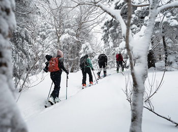 Groupe de randonneurs alpin dans la région Brome-Missisquoi